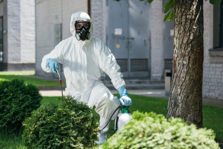 pest control worker in uniform spraying chemicals on bush